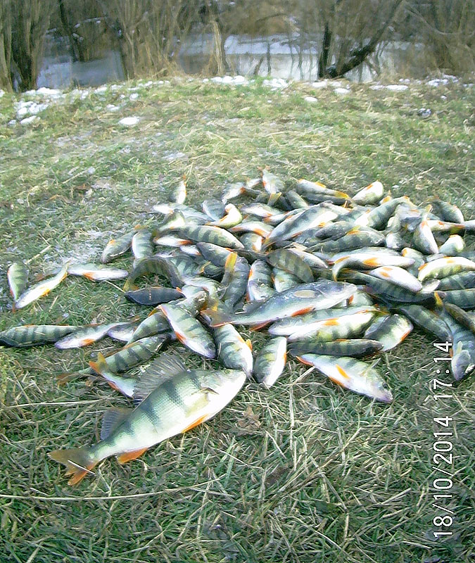 17130013_1.jpg