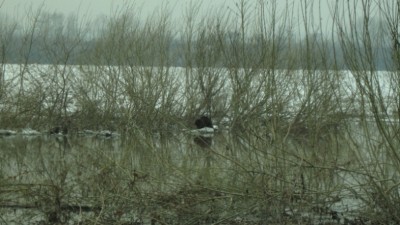 Ледоход 011.JPG