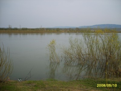 S5002314.jpg