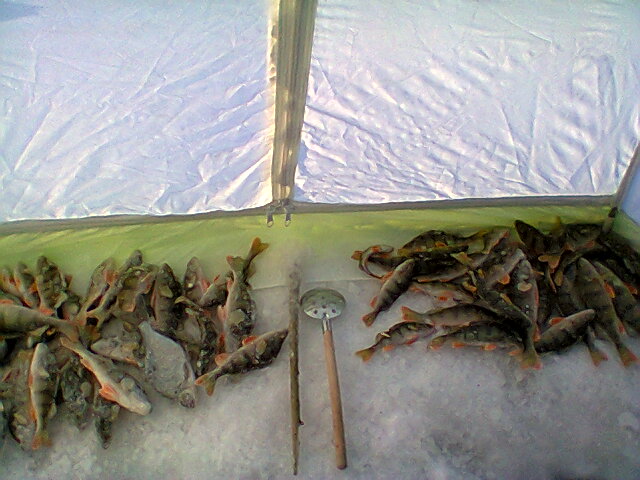 Фото0063.jpg