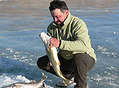 fish4s.jpg