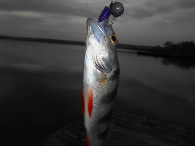 DSCN1187.JPG