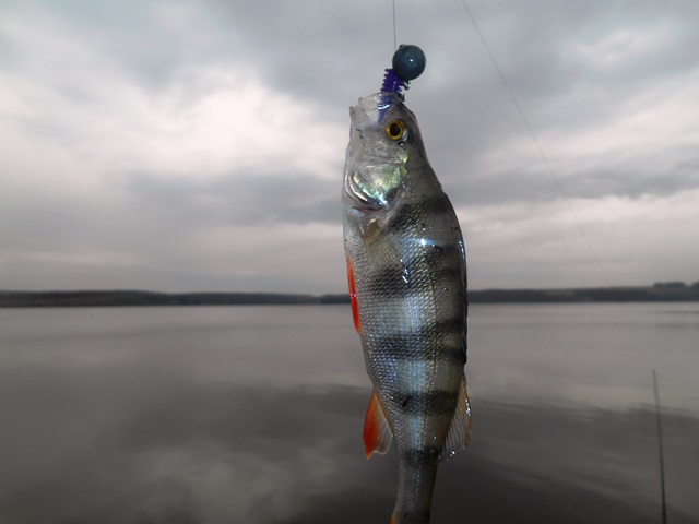 DSCN1188.JPG