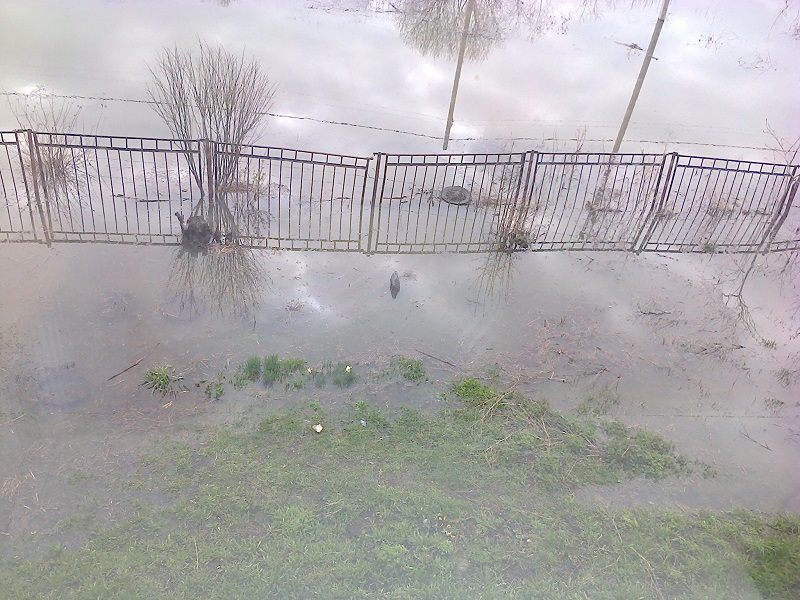 утро пятница 01_05_1.jpg
