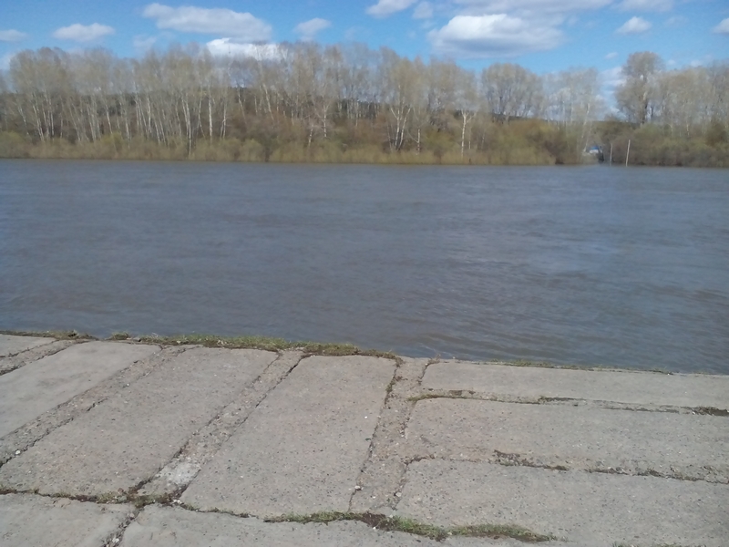 IMG_20150503_145244.jpg