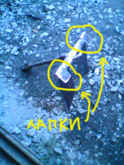 Photo0065.gif