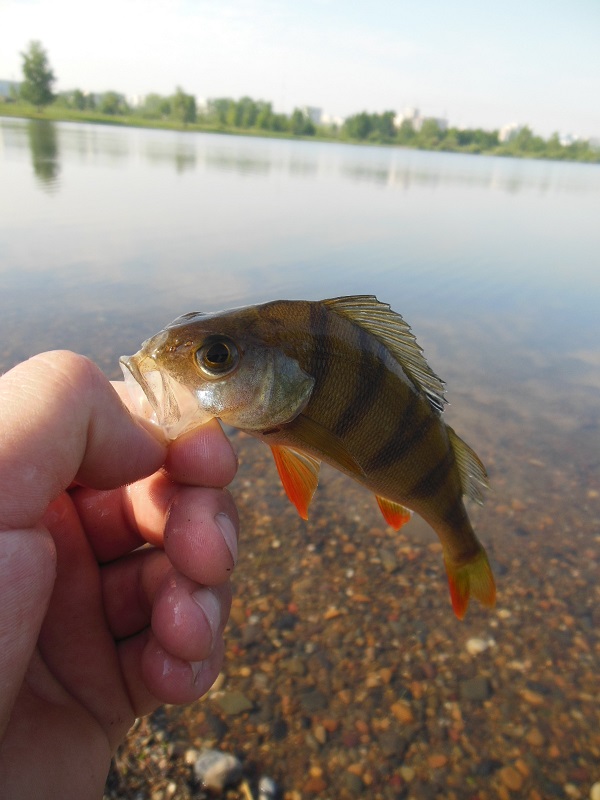 20150604_2.jpg