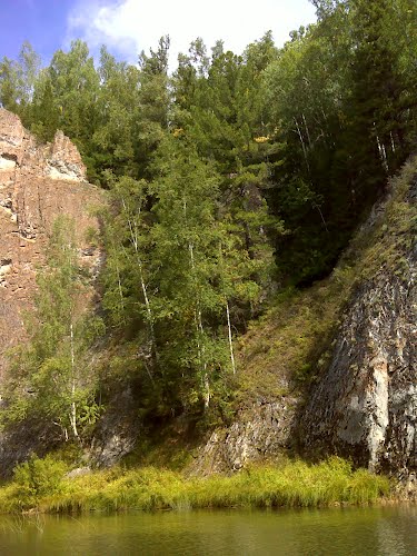 f77622208.jpg