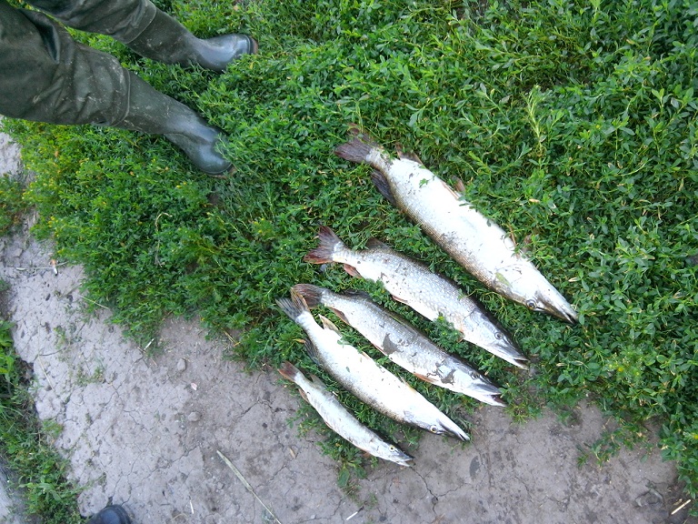 20150719_080416.jpg