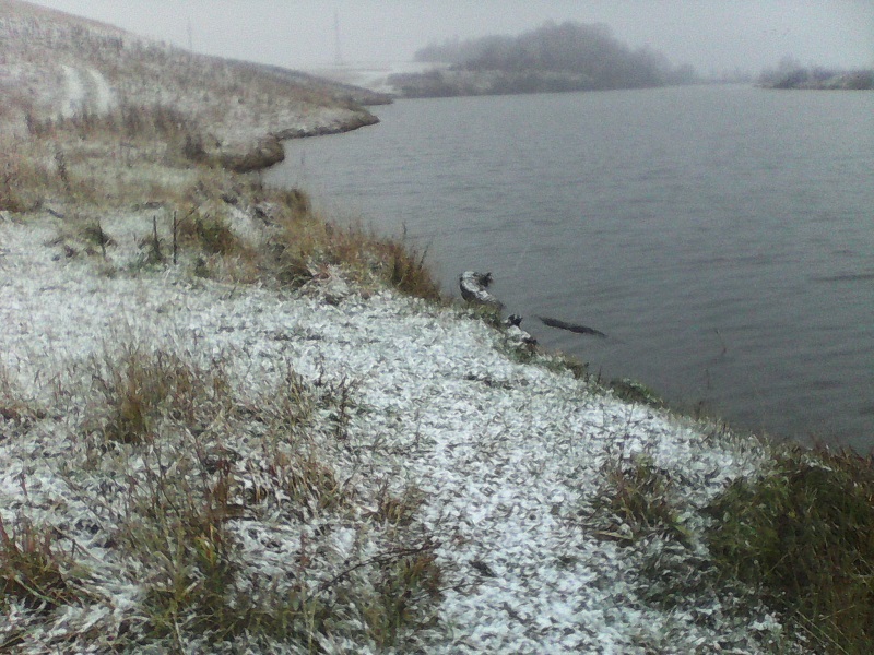 IMG_20151014_081451.jpg