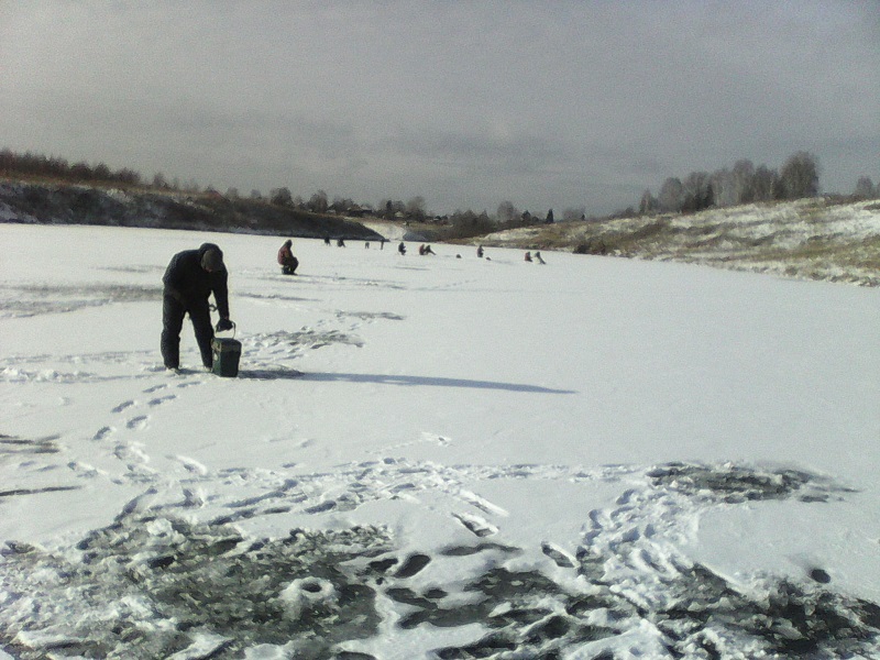 IMG_20151104_134602.jpg