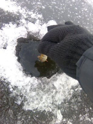 Андреевка1.jpg