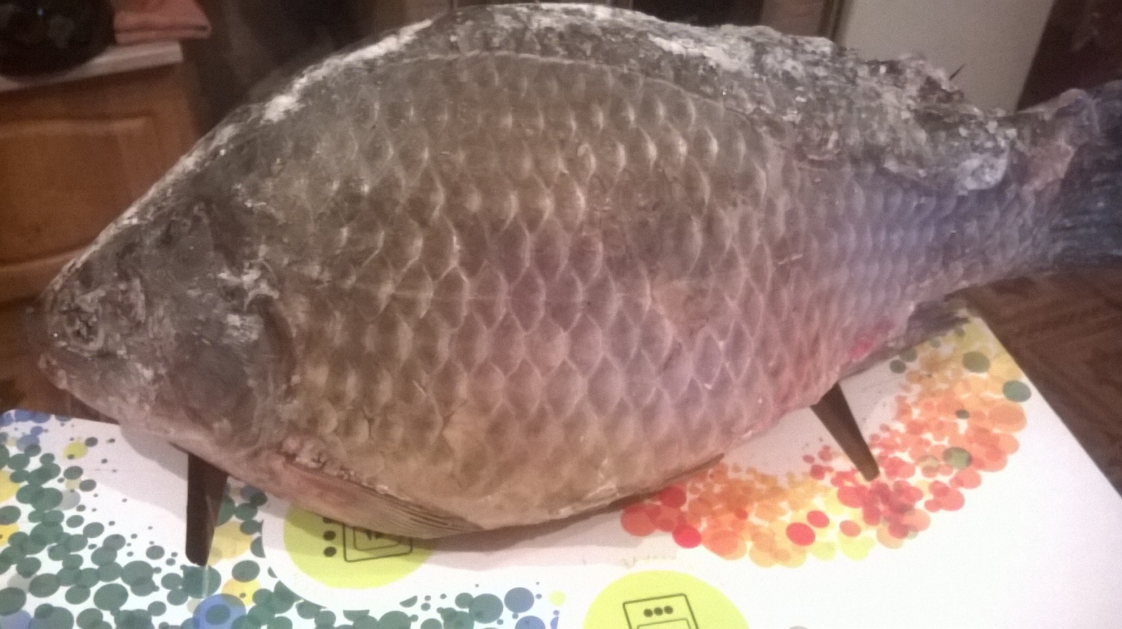 WP_20151123_002.jpg