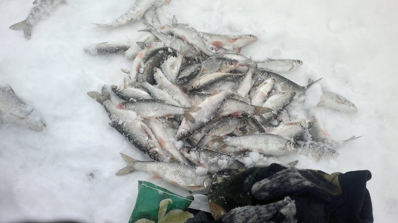 Было весело, но стало заметать
