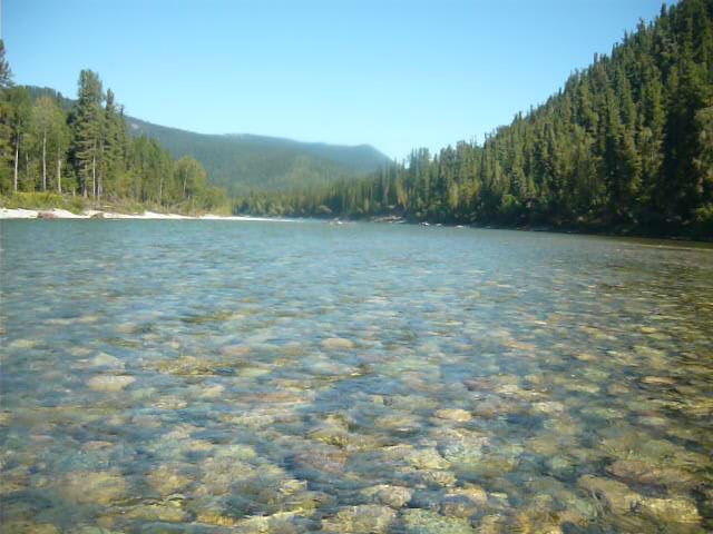 FILE3308.JPG