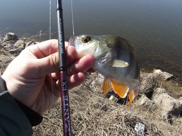 DSCF1831.JPG