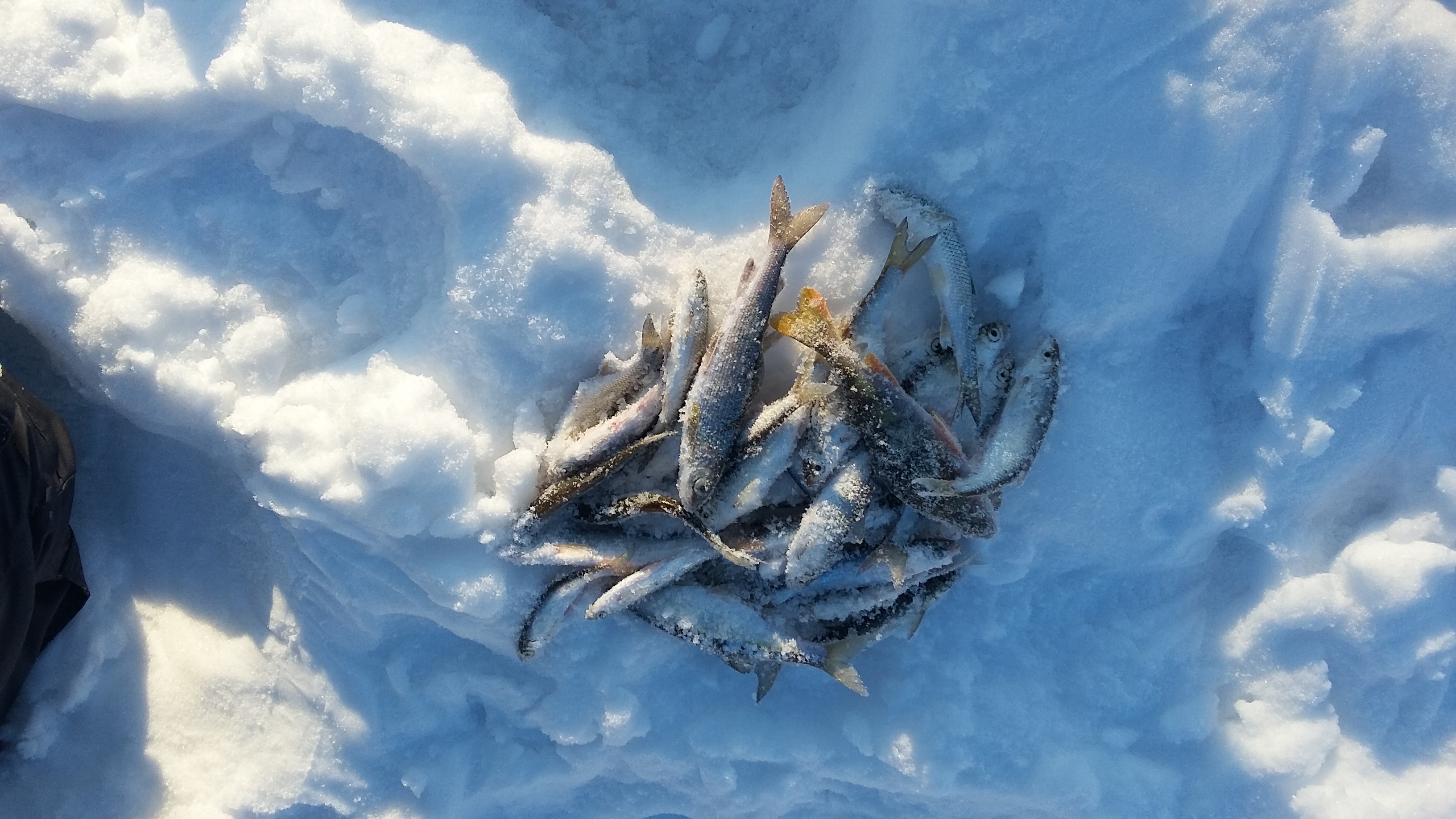20160306_174852.jpg