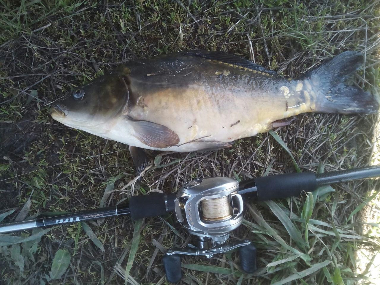 7ed3d3c2568482fde83f86f3510b05e1d40207c4cc29db47f00d3fad5f29b26a_full.jpg
