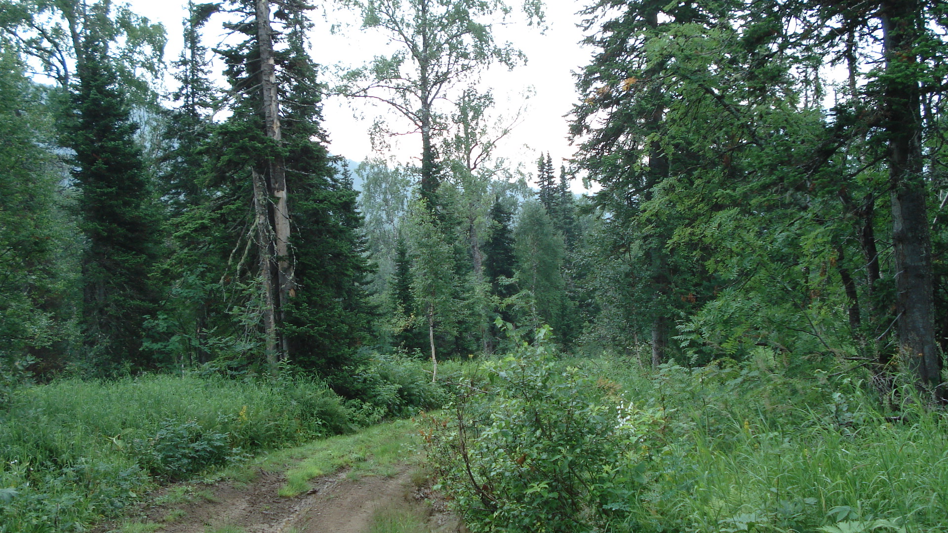 DSC04864.JPG