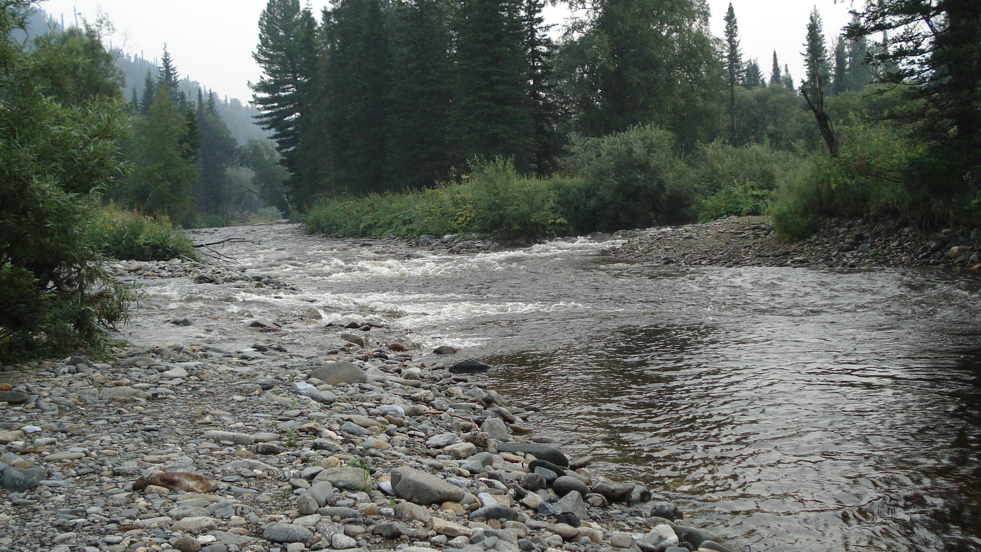 DSC04879.JPG