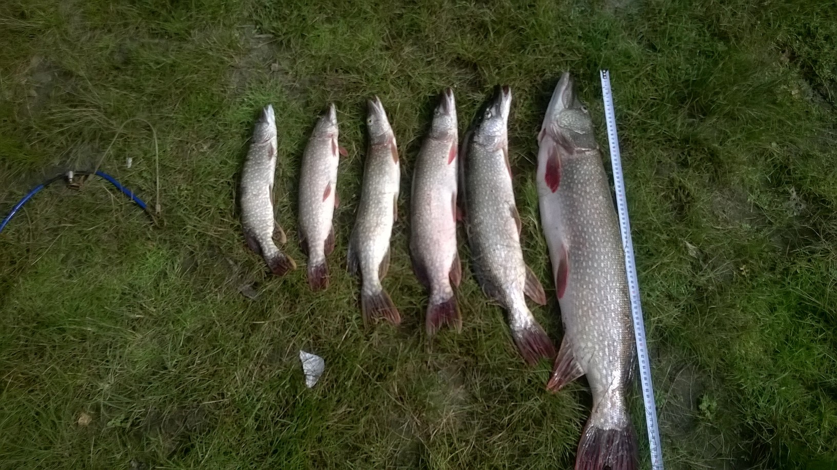 WP_20160901_001.jpg