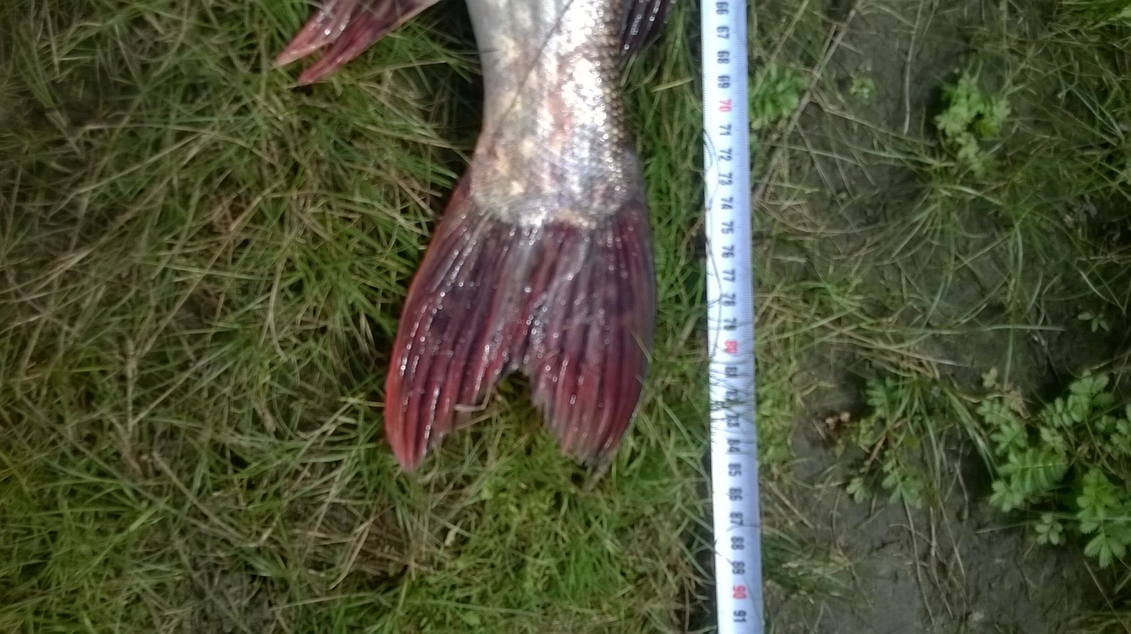 WP_20160901_002.jpg