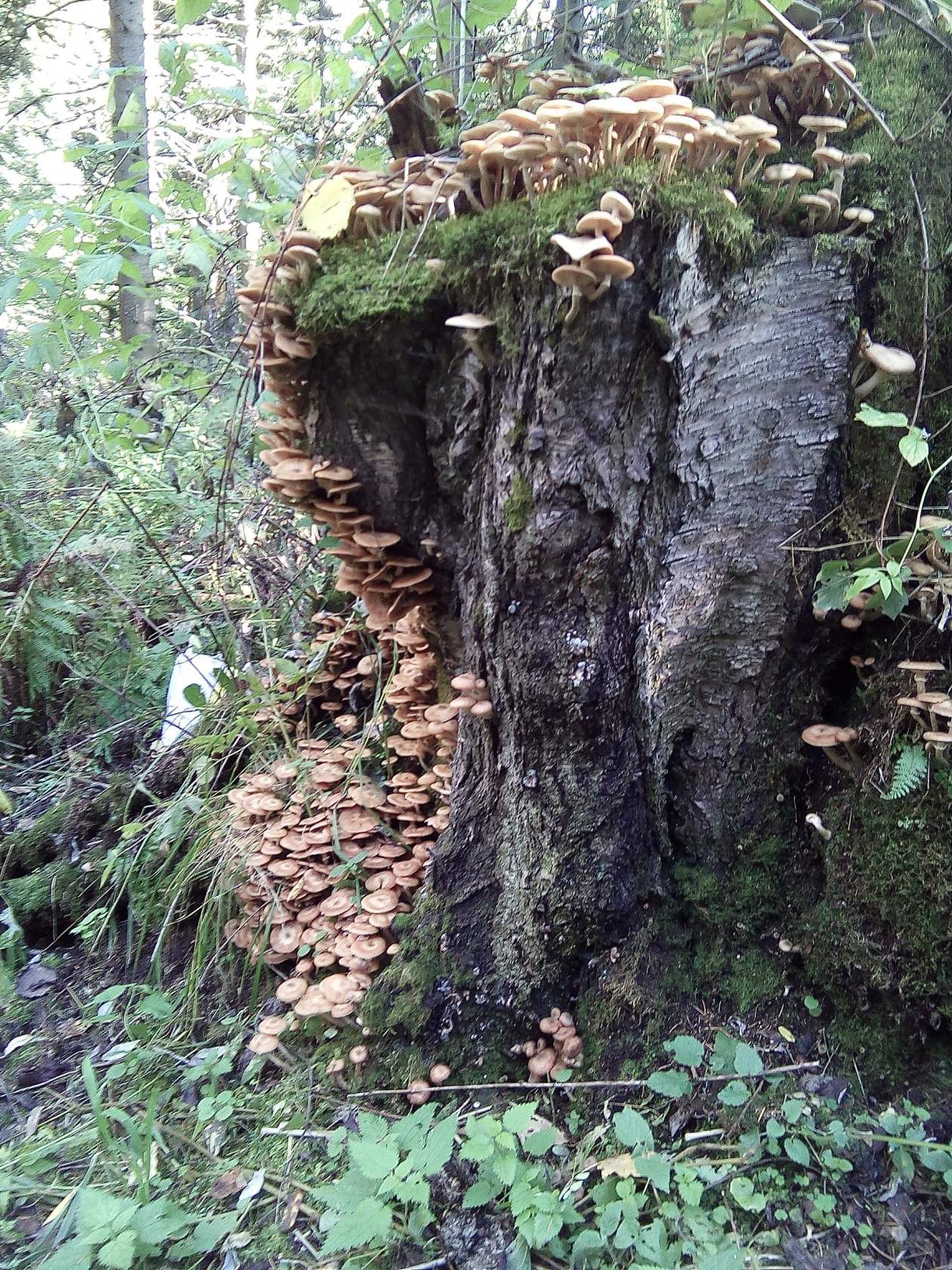 image11.jpg
