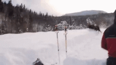 superniva23.gif