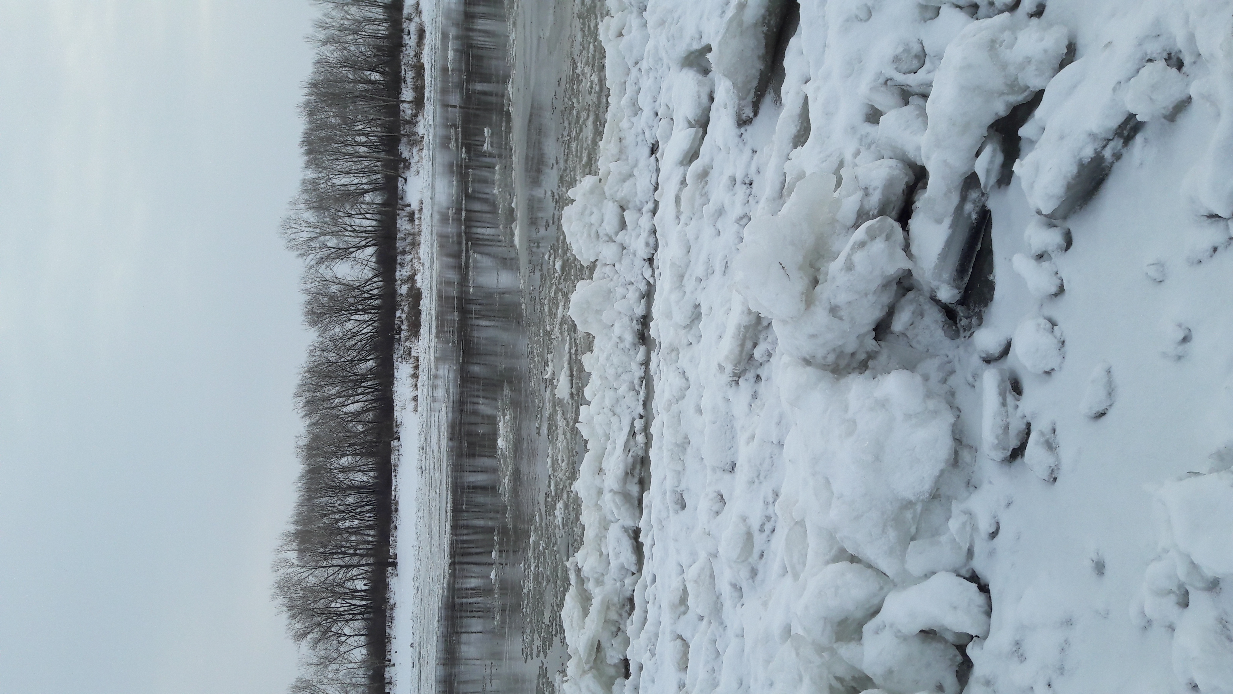 IMG-1478660737713-V.jpg