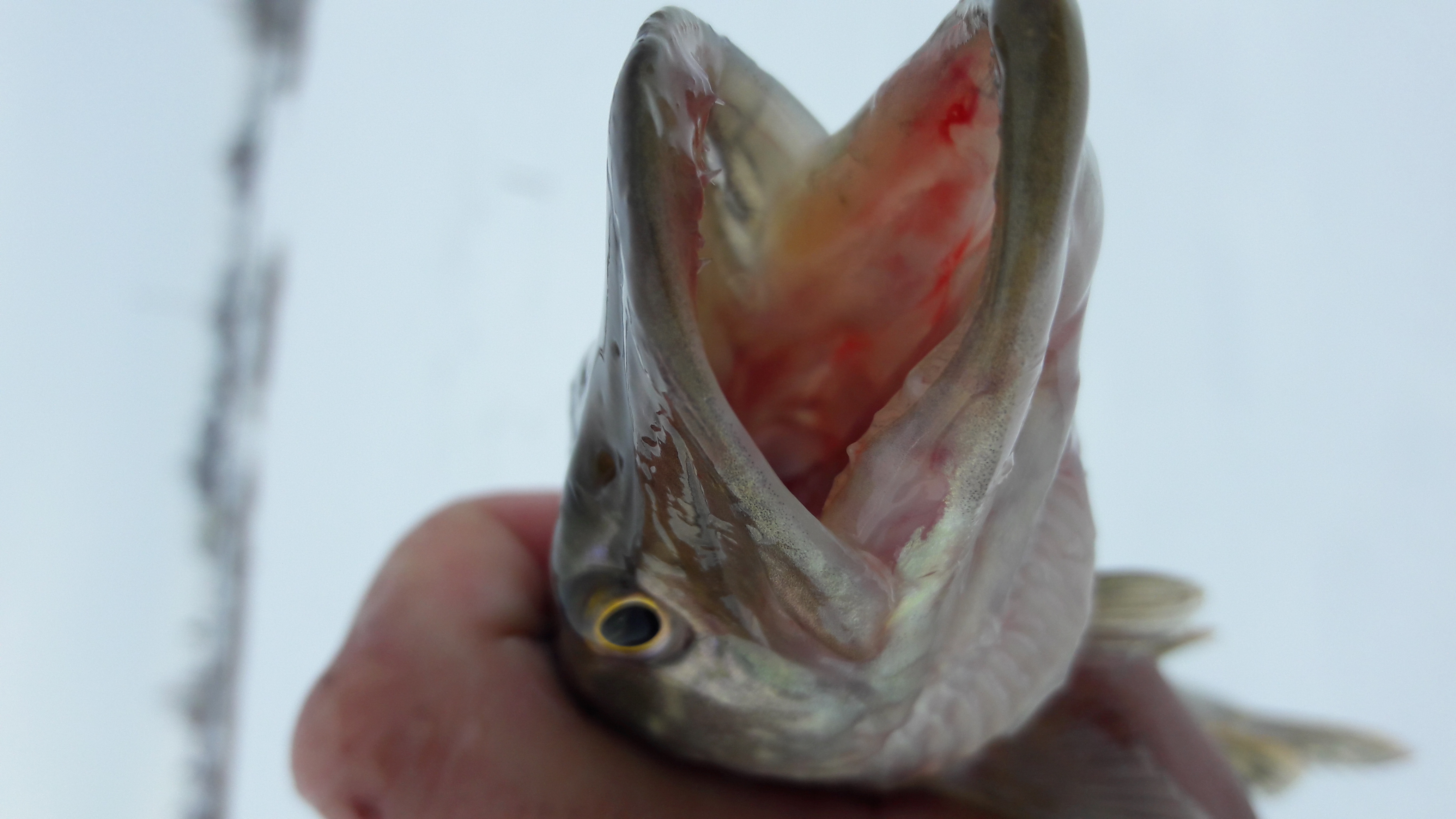 20161215_120011.jpg