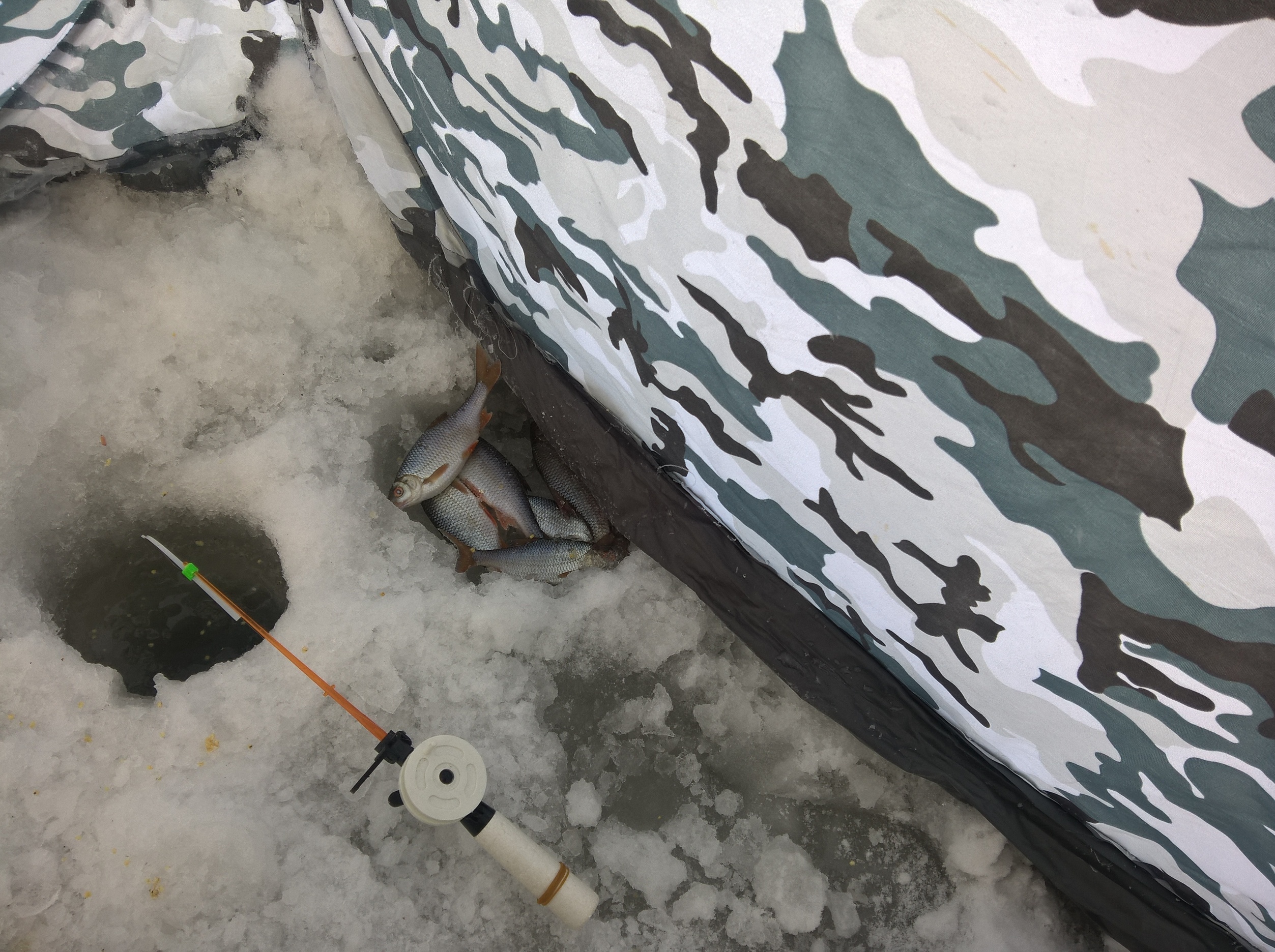 WP_20170107_13_29_17_Pro.jpg