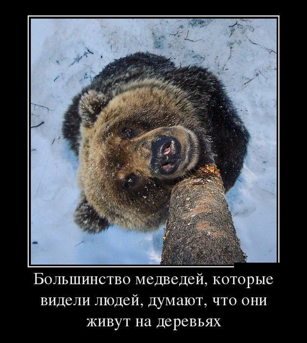 demotivatory_na_pjatnicu_30_foto_8.jpg