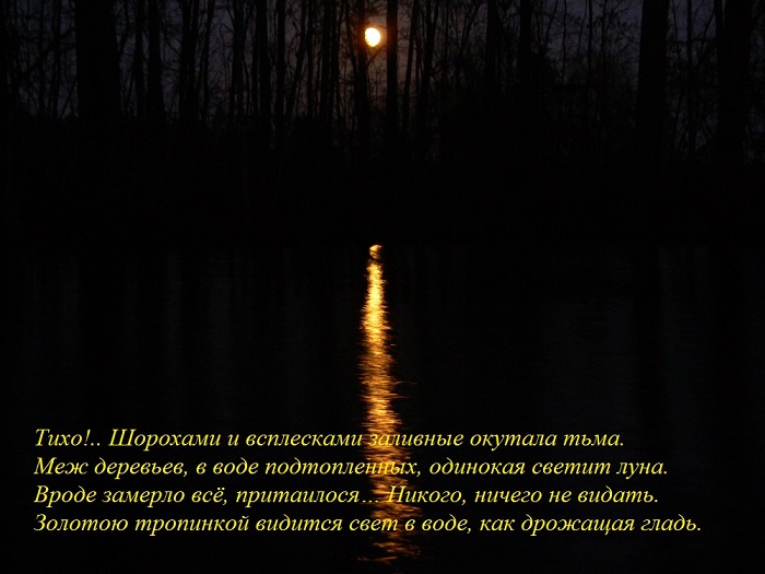 Ночь на заливных.jpg