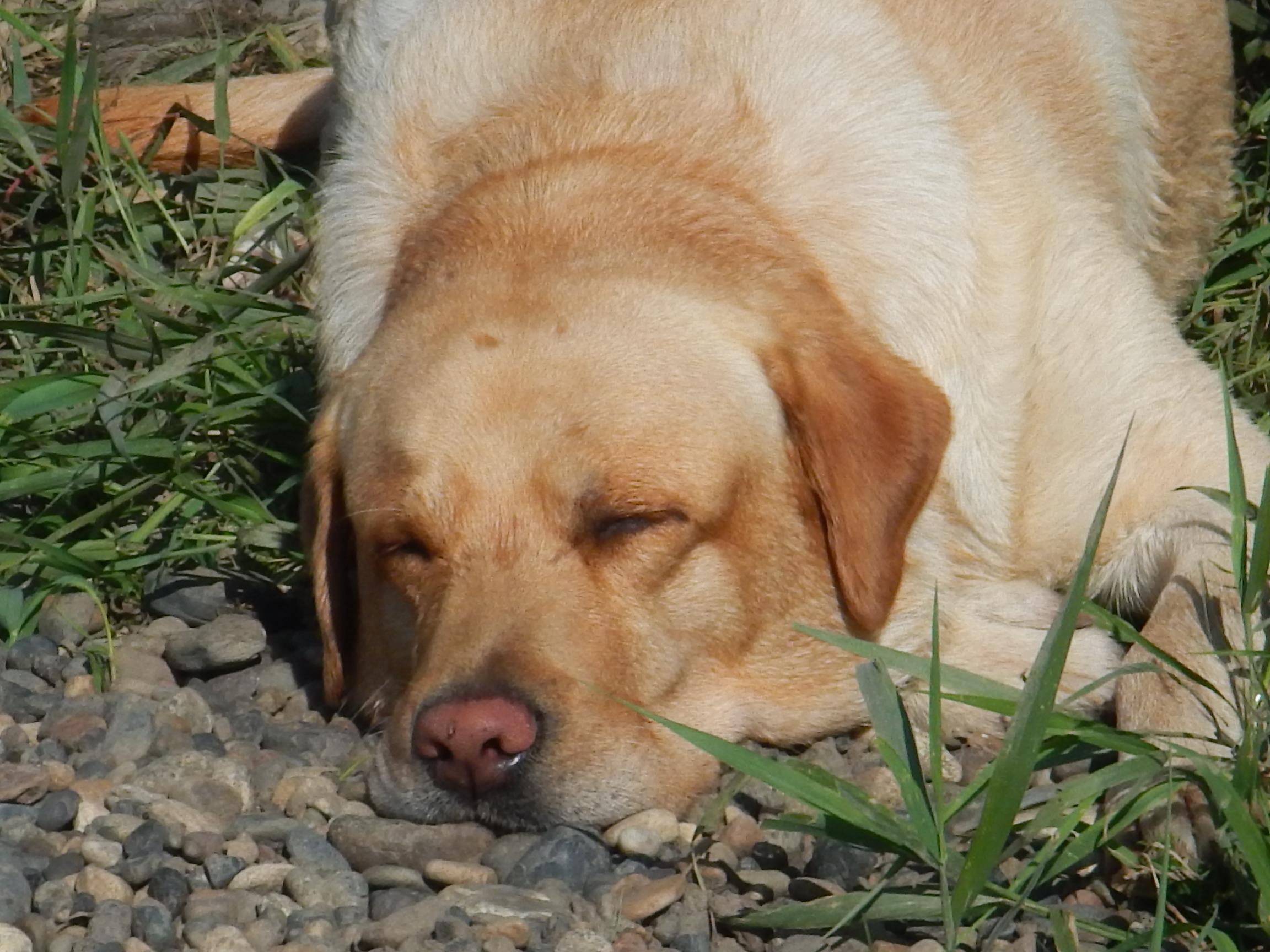 DSCN0486.JPG