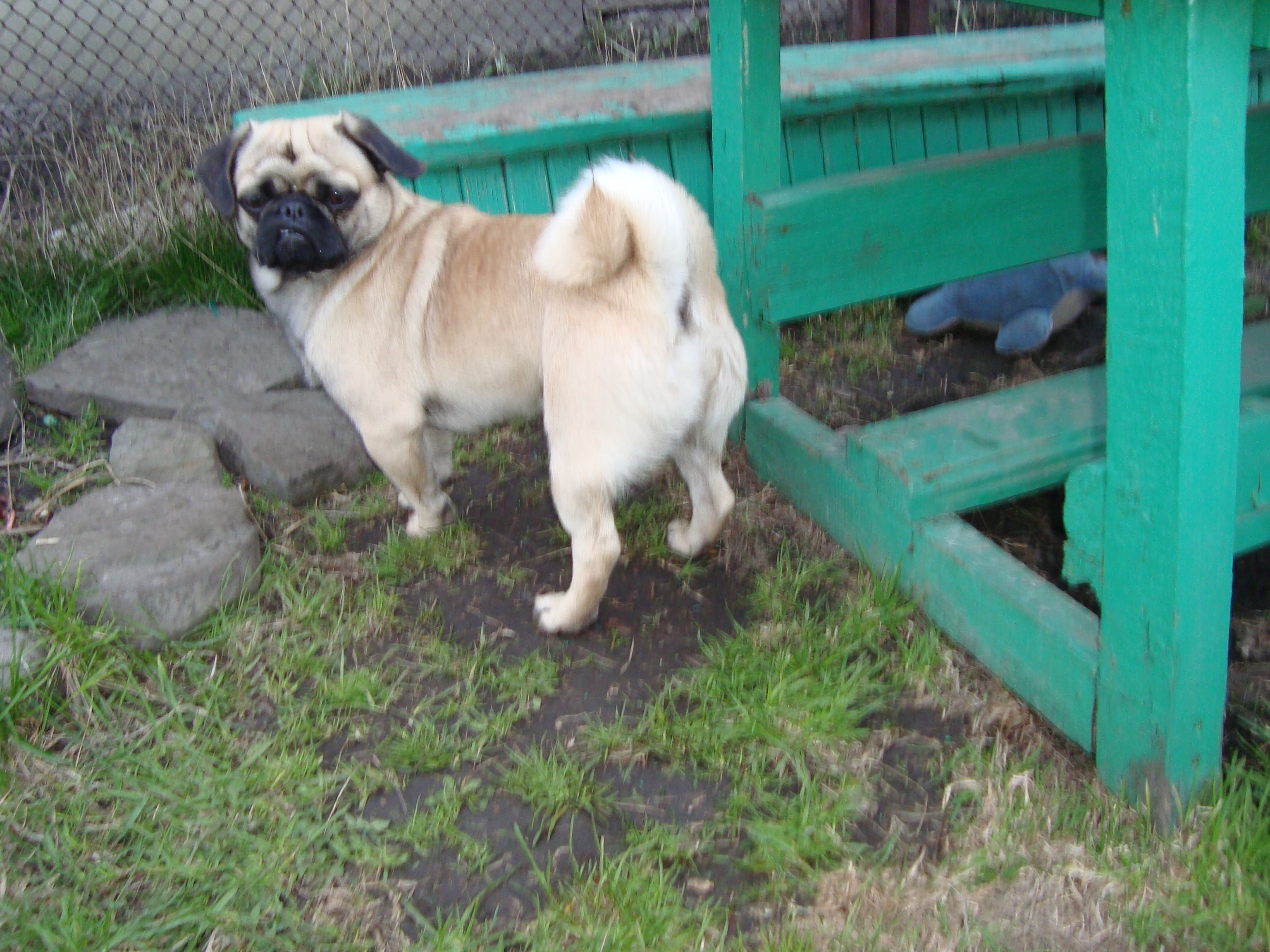 DSC00316.JPG