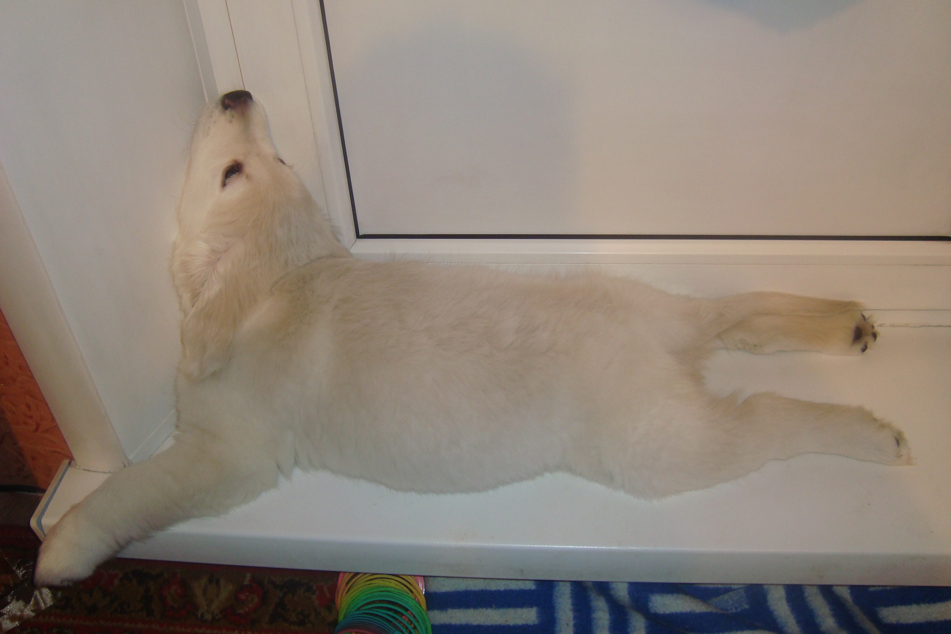 DSC08587.JPG