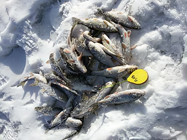 20170315_165037.jpg