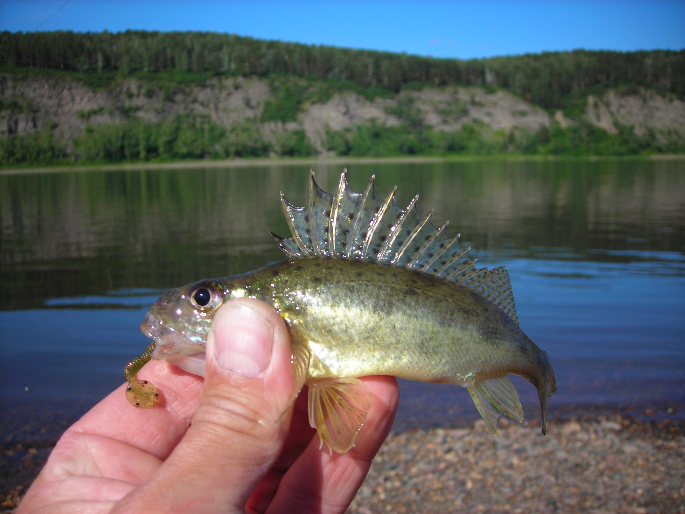 DSCN4709.JPG