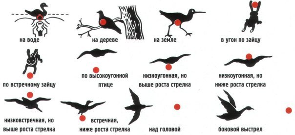 как правильно стрелять.jpg