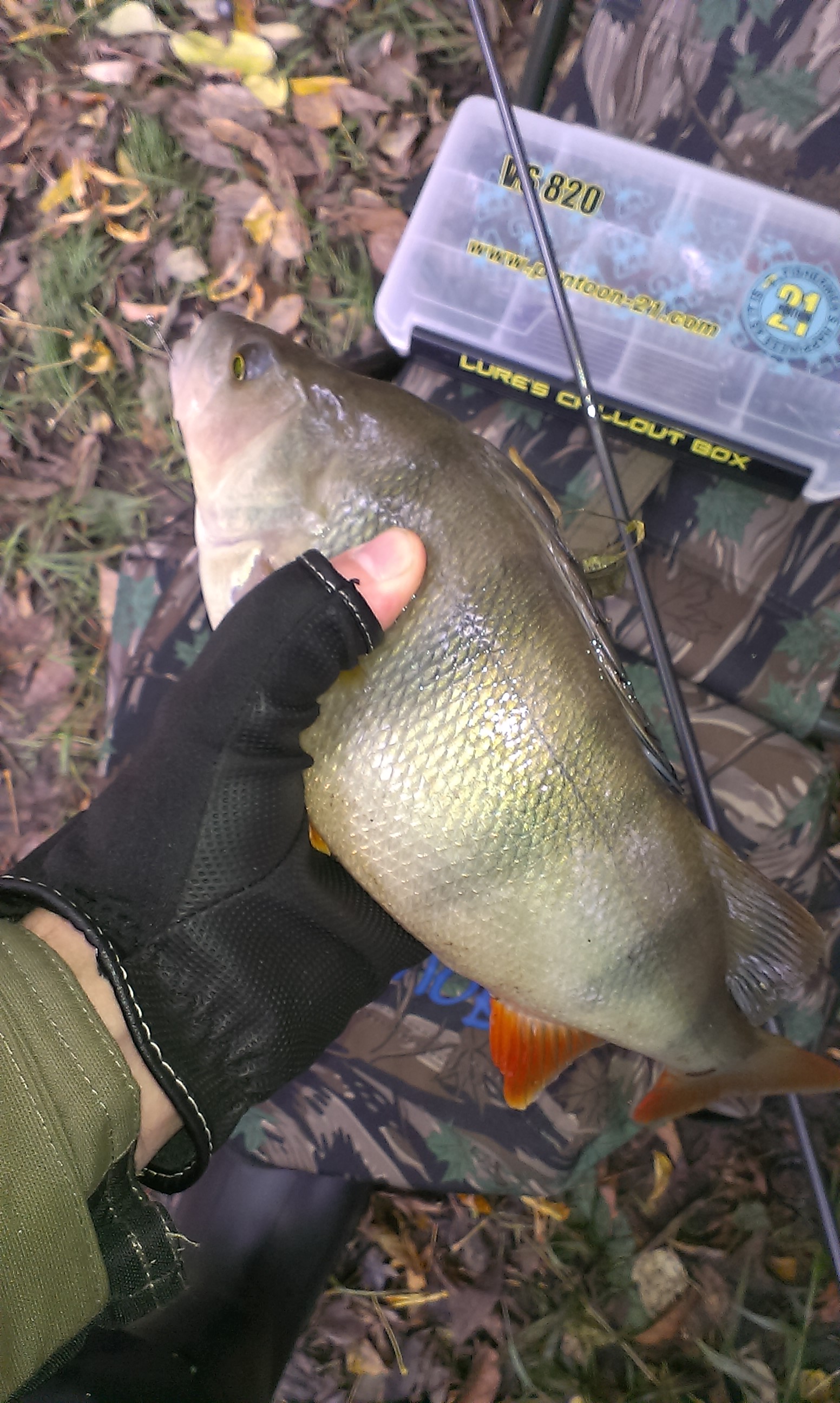 IMAG0497.jpg