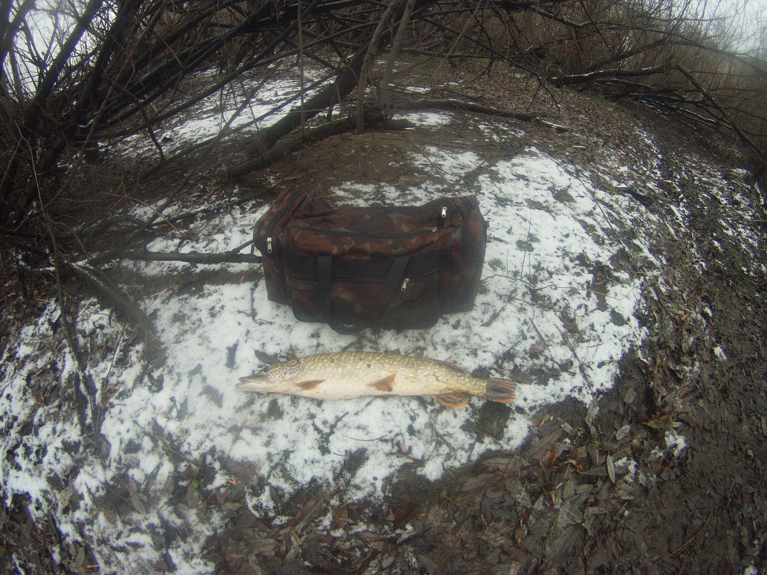 FILE0030.JPG