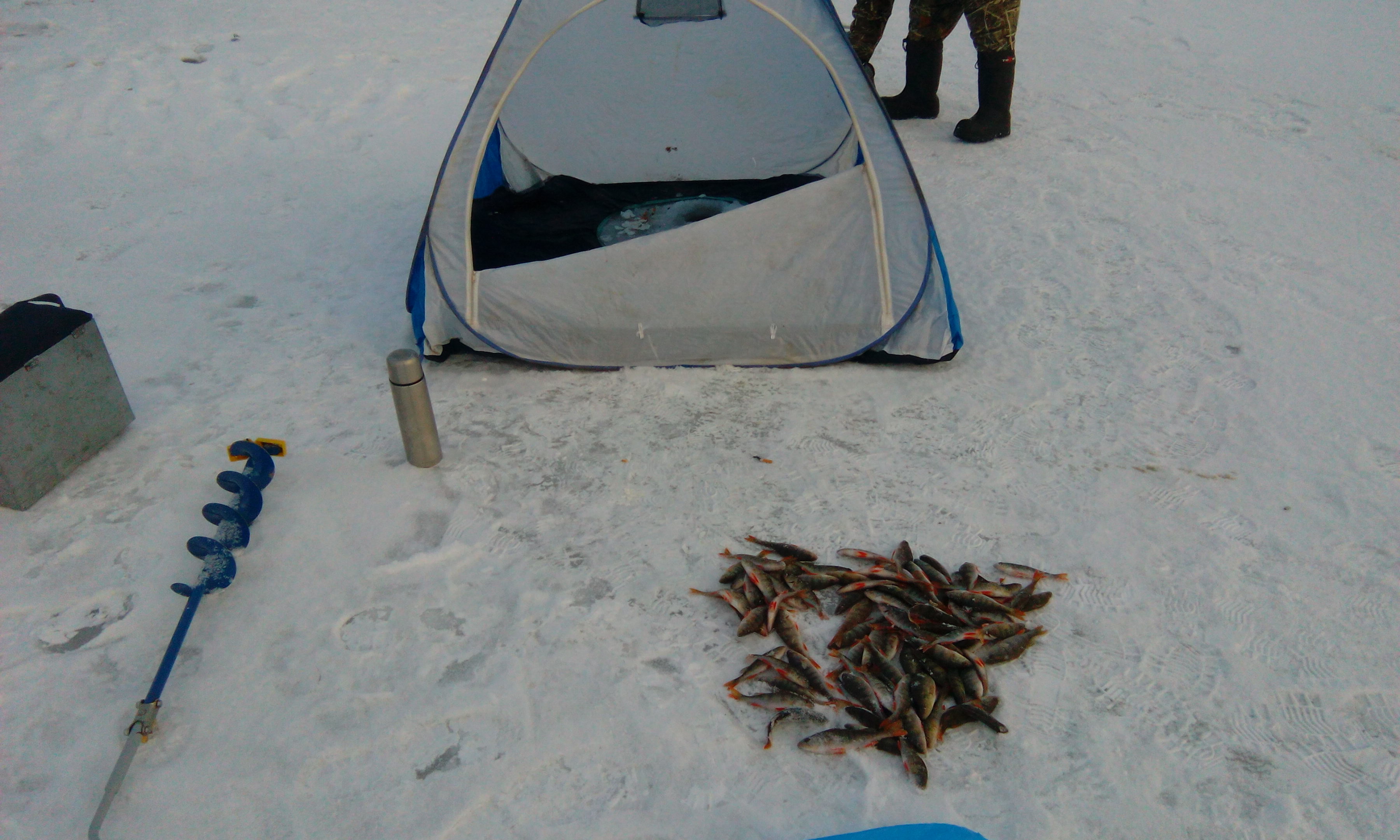 IMG_20161111_154041[1].jpg