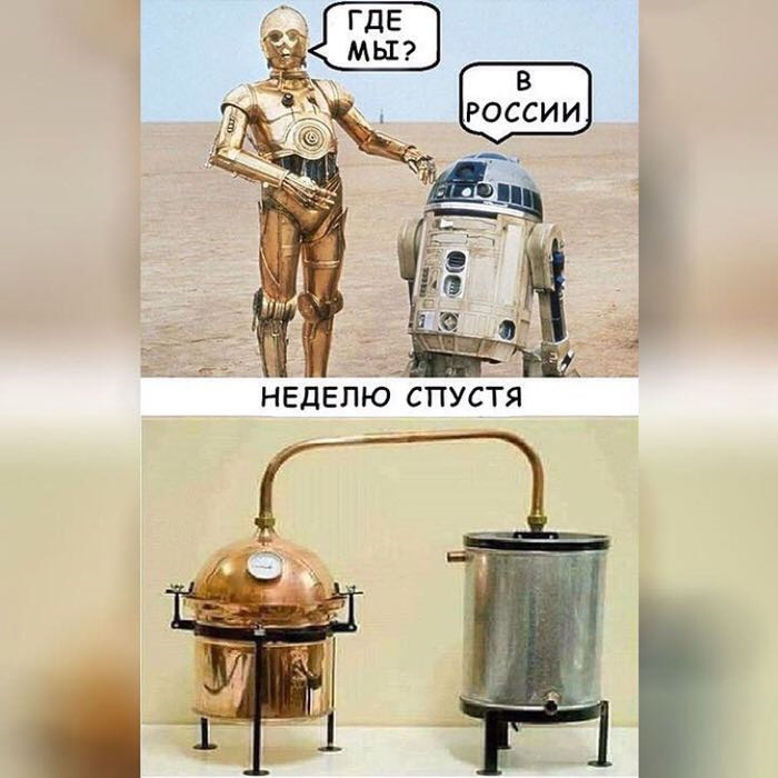 неудачно приземлились.jpg