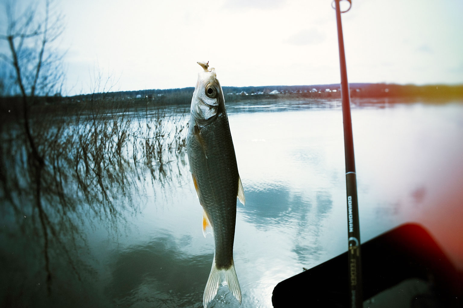 TreningFeeder0004.jpg