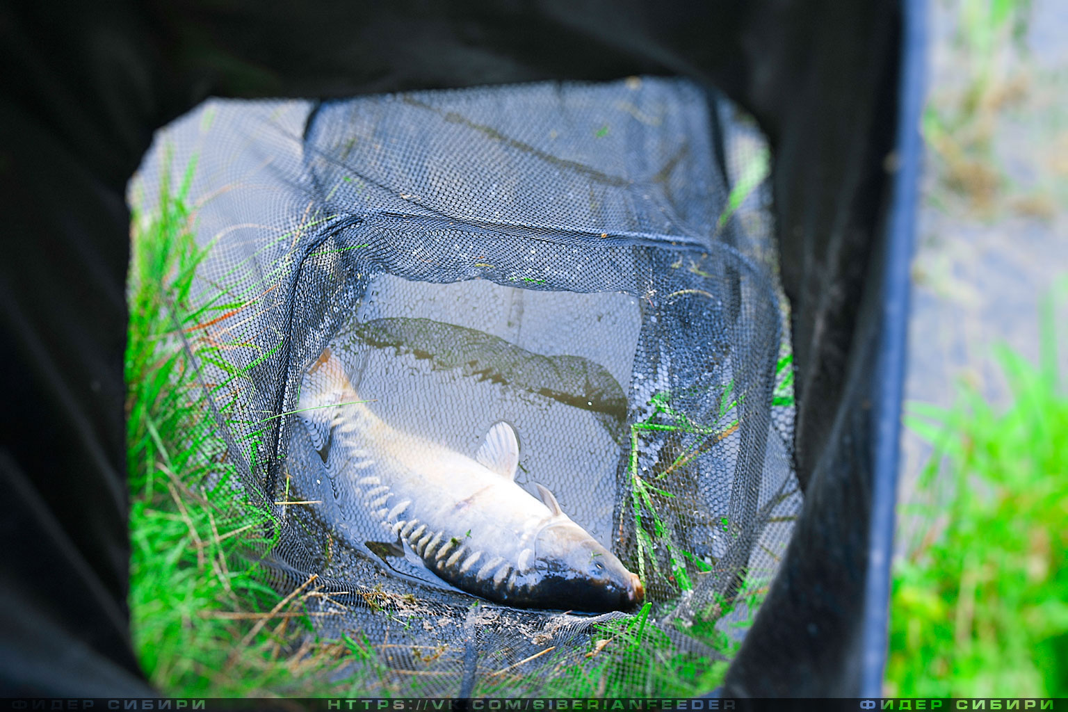 feeder_competition05.jpg