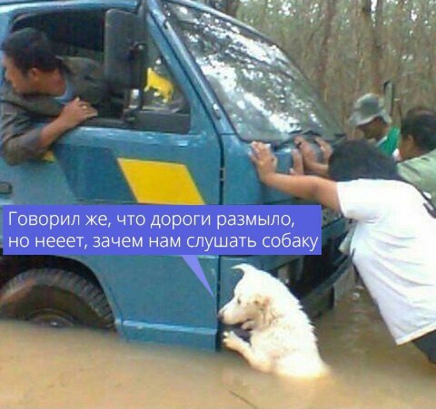 yZFp8MYoRv8.jpg