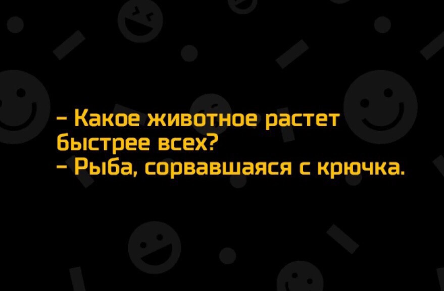 rzUjiFkWo9M.jpg