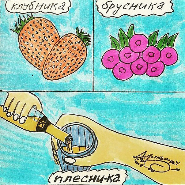 Ягоды.jpg