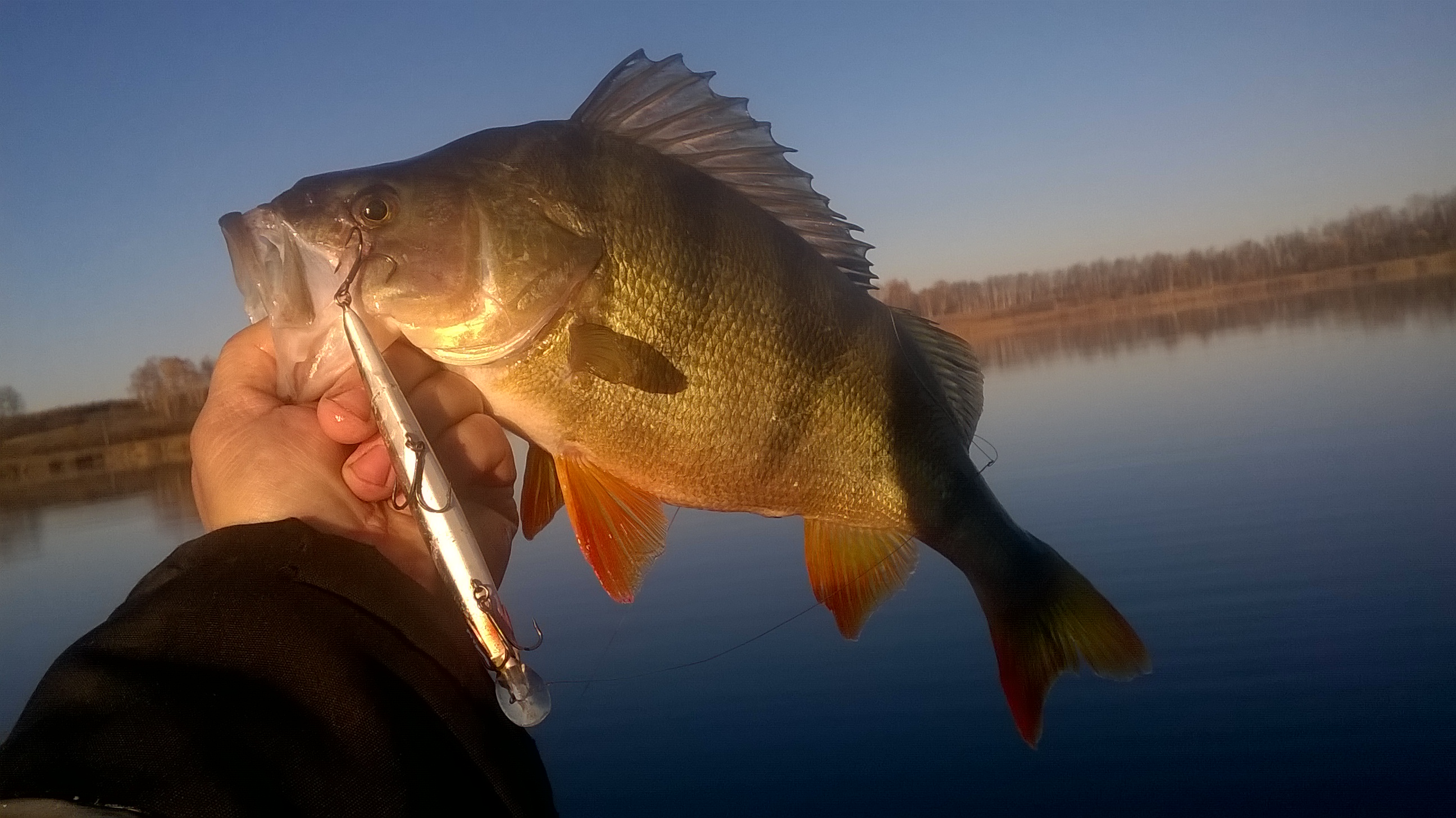 WP_20181007_08_23_57_Pro.jpg