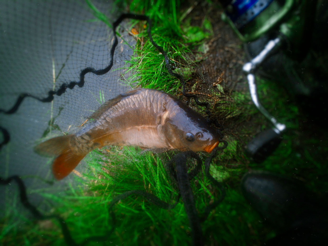 feeder_fishing04.jpg
